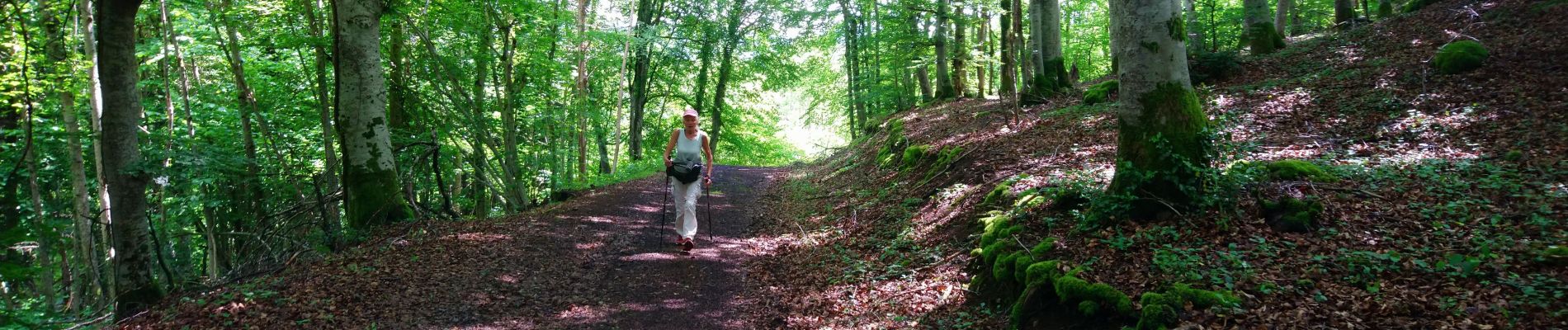 Randonnée Marche Bromont-Lamothe - Le Puy de Moufle  - Photo