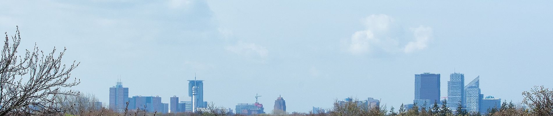 Tour Zu Fuß Wassenaar - Blauw - Photo