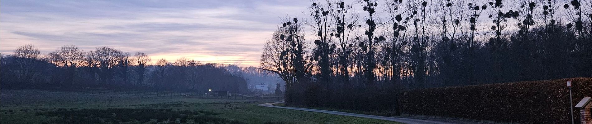 Tour Wandern Tielt-Winge - A la découverte de Tielt 🥾 - Photo