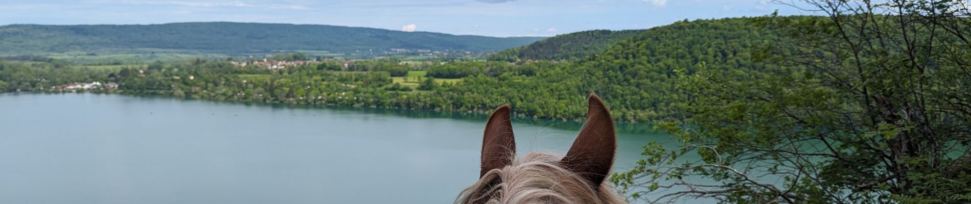 Tocht Paardrijden Menétrux-en-Joux - suuntoapp-HorsebackRiding-2024-05-18T07-33-28Z - Photo