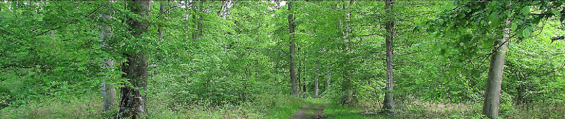 Point d'intérêt Choisy-au-Bac - Point 12 - Photo