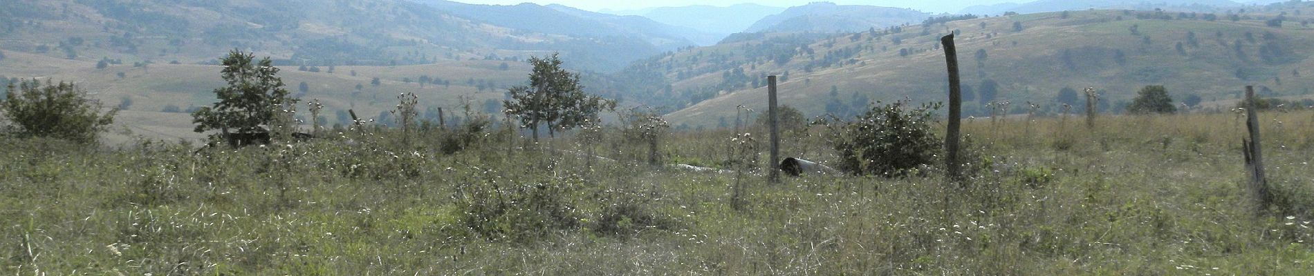 Percorso A piedi Sichevița - Green dot path - Photo