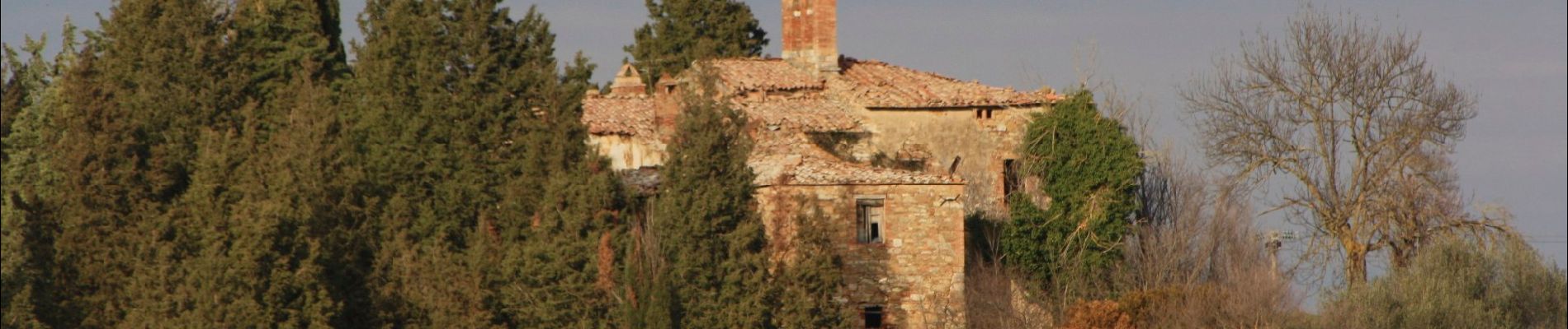 Percorso A piedi Pienza - Forteguerri - Photo