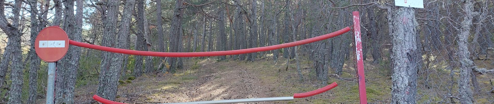 Tocht Stappen Comps-sur-Artuby - jabron bloqué par la haie métallique  - Photo