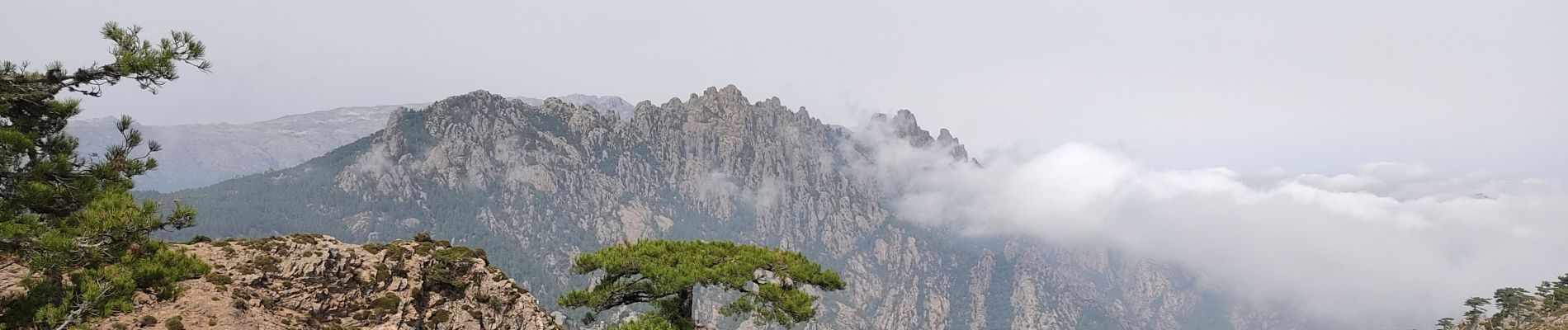 Randonnée Marche Zonza - Bocca d'Illarata vers bergerie de Luviu - Photo