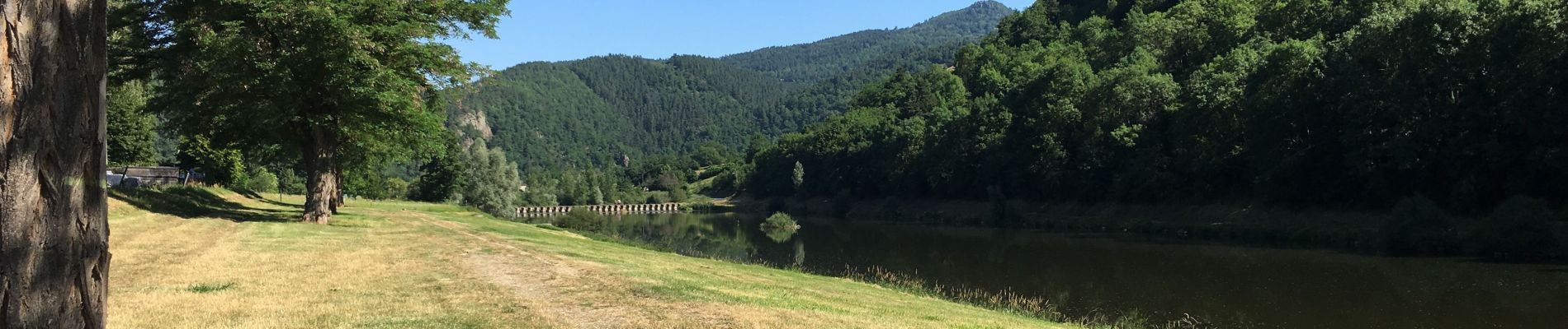 Trail Walking Retournac - Bords de Loire à Retournac - Photo