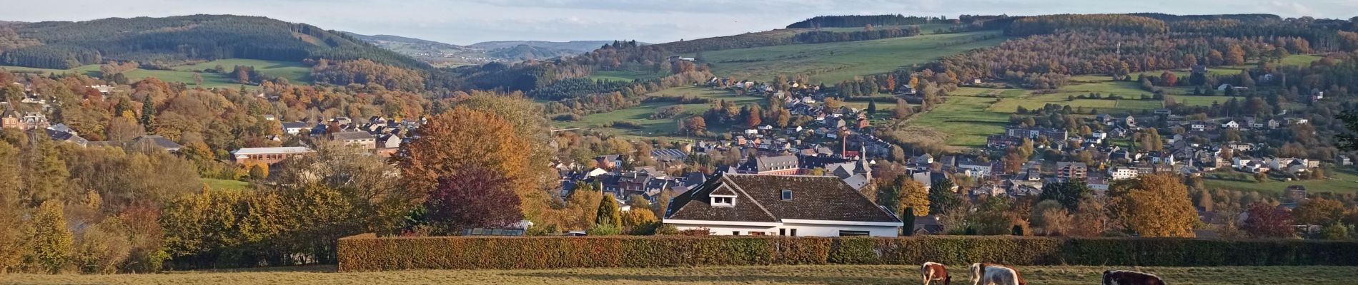 Tour Wandern Stoumont - Le Roannay, le mont des Brumes, la fagne - Photo