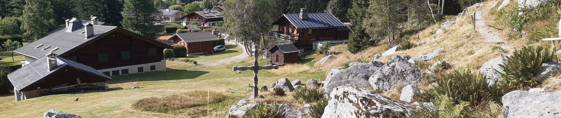 Tour Wandern Chamonix-Mont-Blanc - Les Tines,le chapeau retour par les gorges de l'Aveyron  - Photo