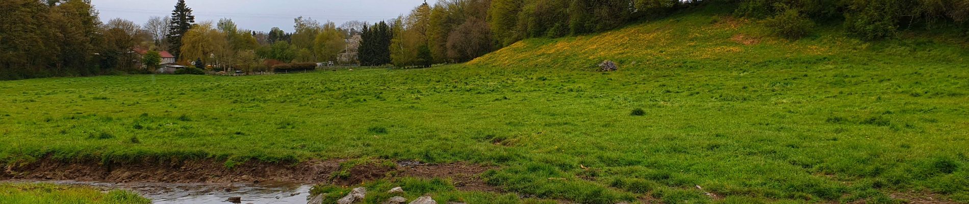 Randonnée Marche Beaumont - Balade dans la campagne beaumontoise - Photo