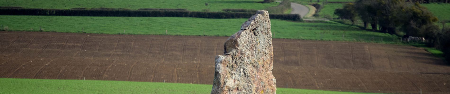 Punto de interés Durbuy - Menhir d'Ozo - Photo