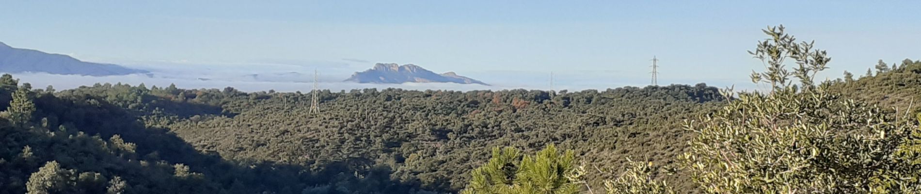 Excursión Senderismo Fréjus - Autour du col des Sacs depuis Parking de la Colle Douce - Photo