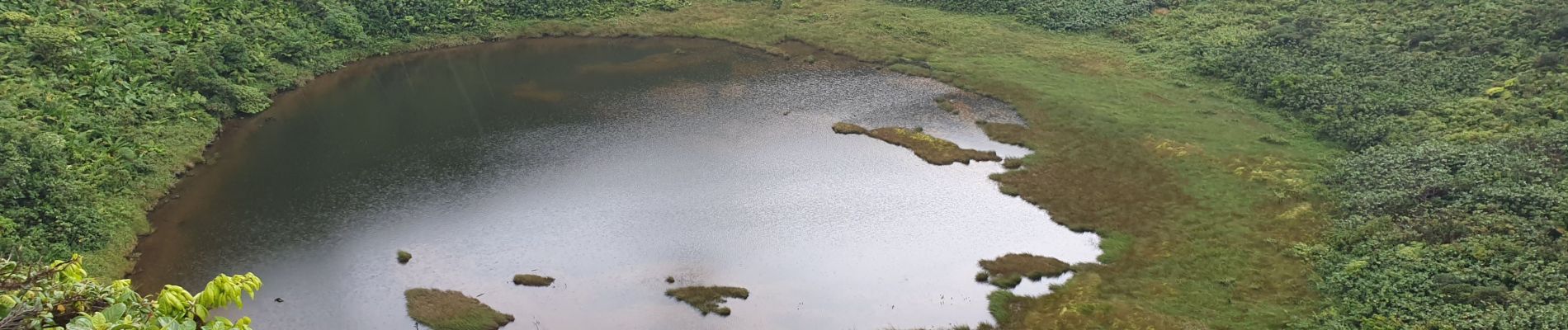 Trail Walking Saint-Claude - Guadeloupe - La Soufrière - La Citerne - Photo