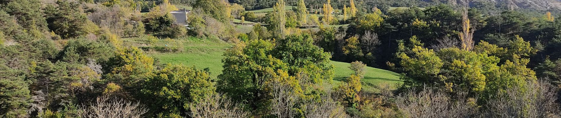 Tocht Stappen Eygluy-Escoulin - tailefer du diois (reco) - Photo