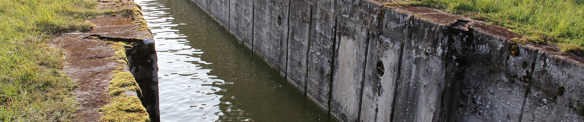 Tour Zu Fuß Schwarzenbruck - Wasserwirtschaftlicher Lehrpfad - Photo