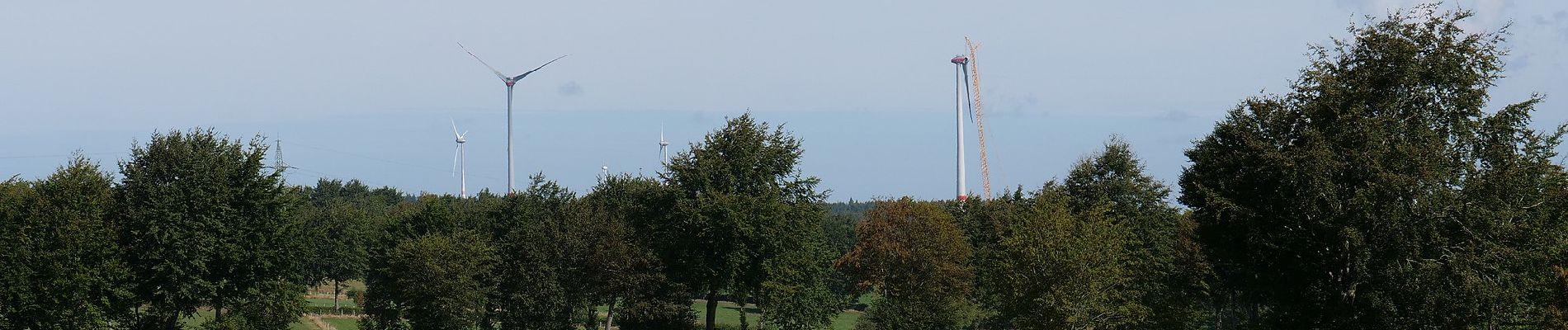 Tour Zu Fuß Simmerath - Dorfrundgang Strauch - Photo