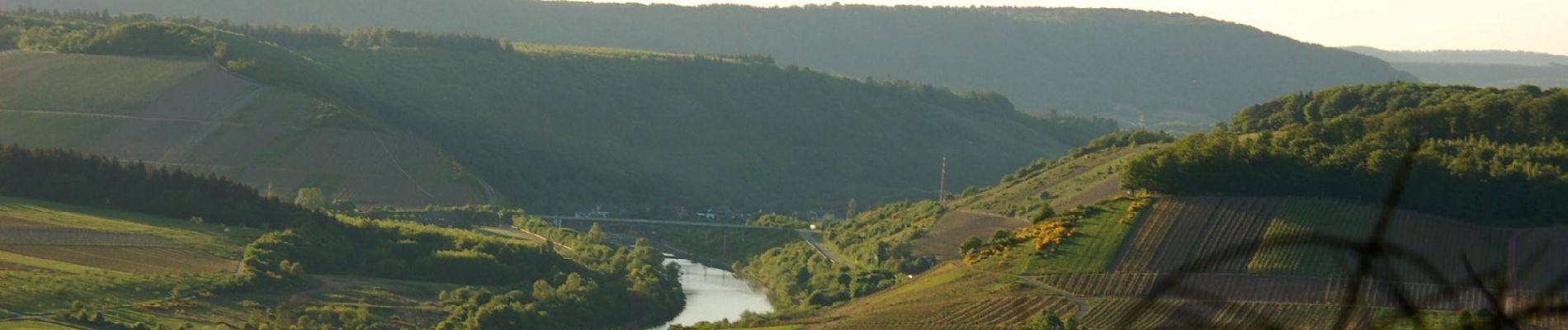 Randonnée A pied Konz - G9: Konz <=> Saarburg - Photo