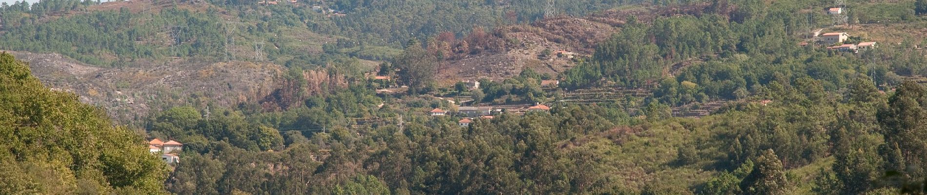 Tour Zu Fuß São Jorge e Ermelo - Ecovia do Ermelo - Photo