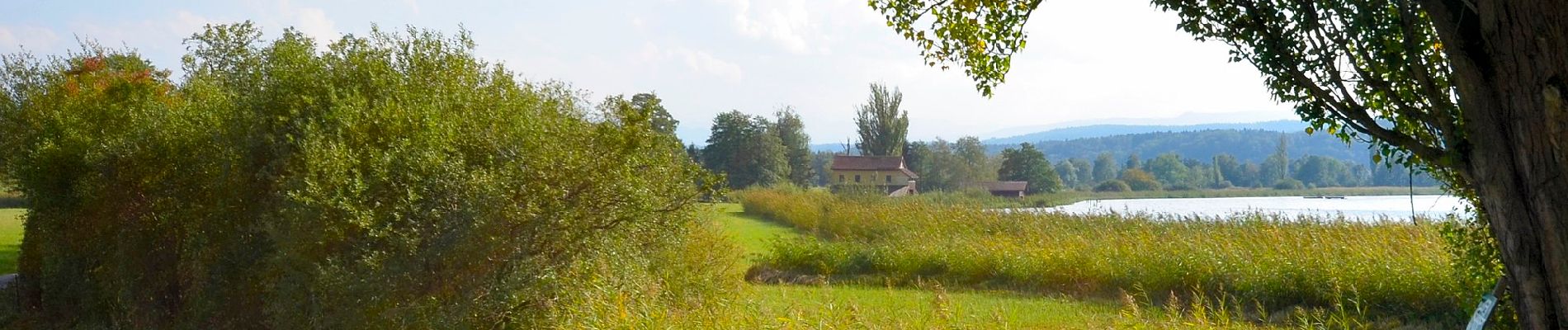 Tour Zu Fuß Uster - Niederuster - Wetzikon - Photo