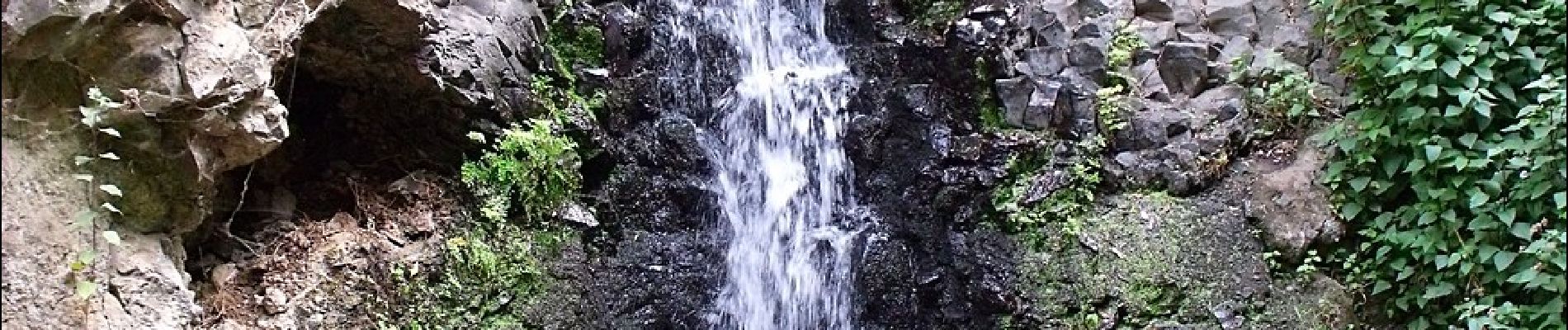 Excursión A pie Telde - Barranco de los Cernícalos - Photo