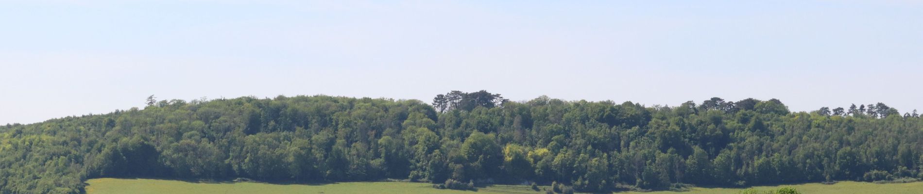 Percorso Marcia Torcy-le-Petit - La Vallée de la Varenne , vu du haut de Torcy - Photo