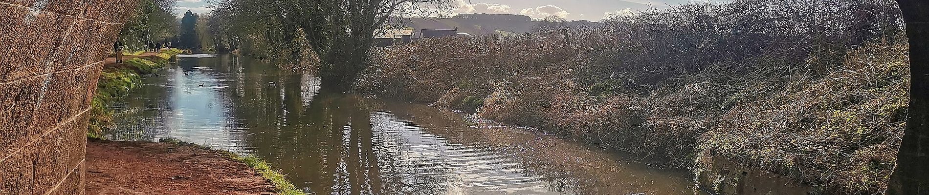 Percorso A piedi Mid Devon - Swan's Neck - Photo