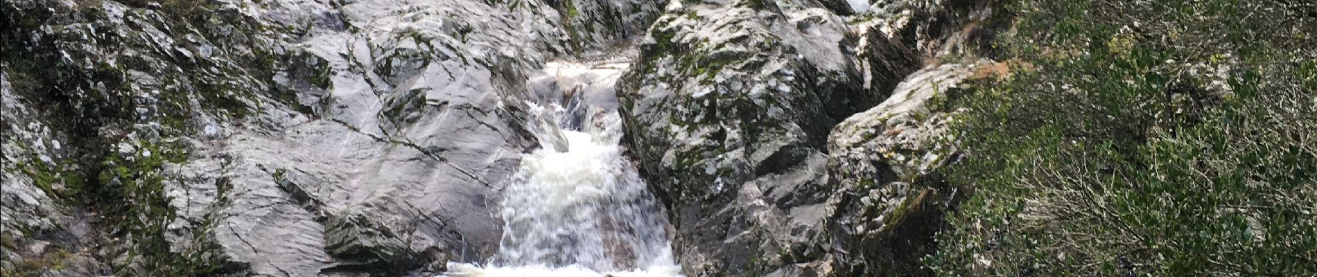 Trail Walking Saint-Péray - Tourtousse  - Photo