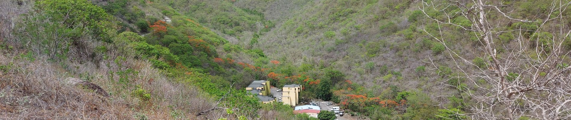 Excursión Senderismo Bellefontaine - Morne  Potain - Mairie Bellefontaine - Photo