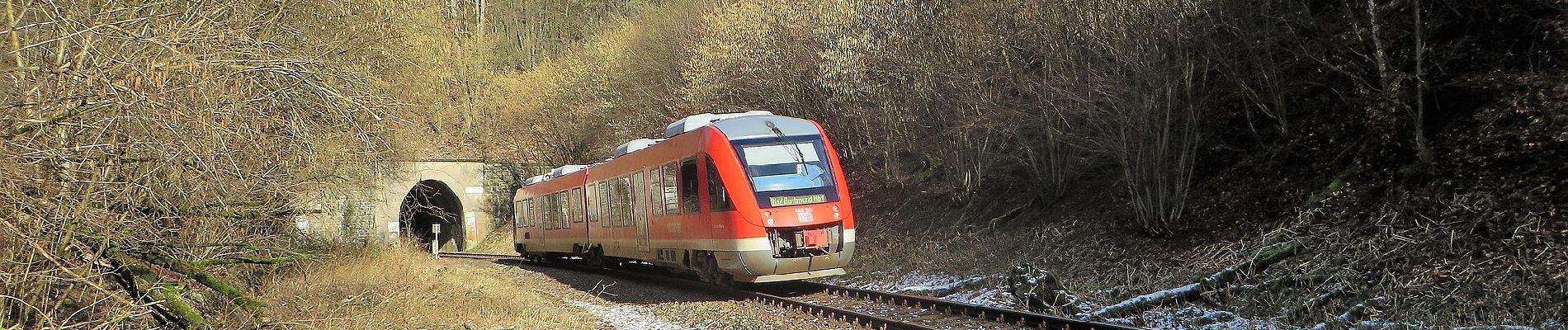 Excursión A pie Desconocido - Dahler Höhenring D - Photo