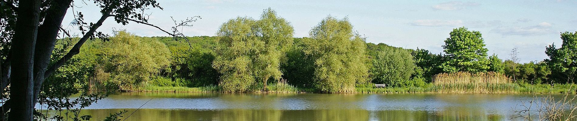 Tour Zu Fuß Vaihingen an der Enz - VE6 Bartenberg-Rundweg - Photo