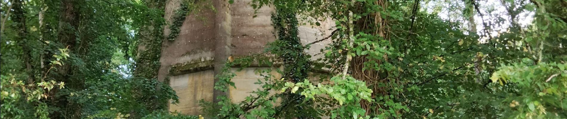 Randonnée Marche Sorges et Ligueux en Périgord - lanemary patrice  - Photo