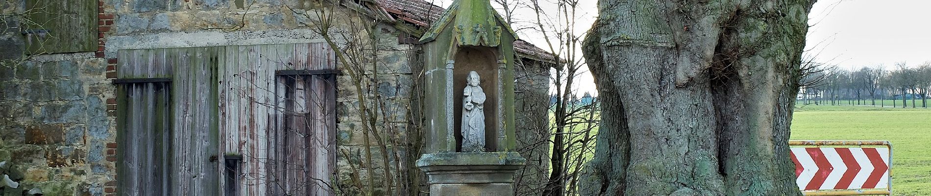 Tocht Te voet Rüthen - Grenzstein-Weg - Photo