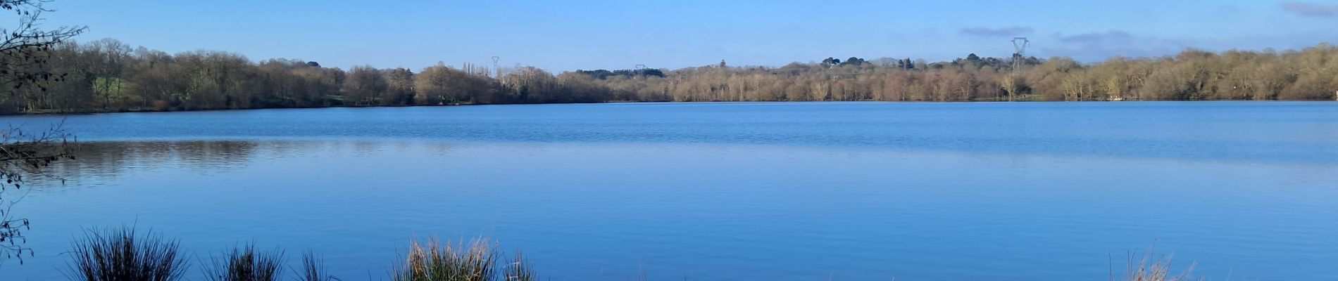 Percorso Marcia Couëron - Lac de Beaulieu 3 km - Photo