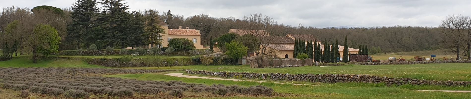 Percorso Marcia Tourves - Tourves-Bras-Saint Maximin-Tourves - Photo