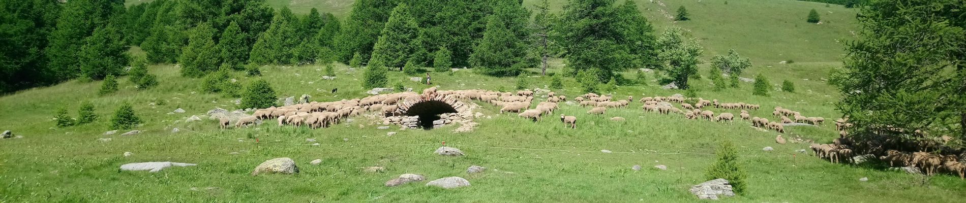 Tour Wandern Val-d'Oronaye - Le lac de derrière la croix - Photo