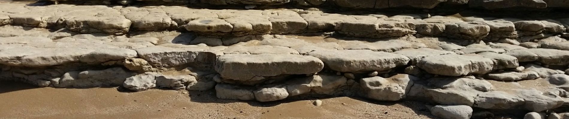 Tour Wandern Jard-sur-Mer - Jard sur mer - Pointe du Payré - Photo