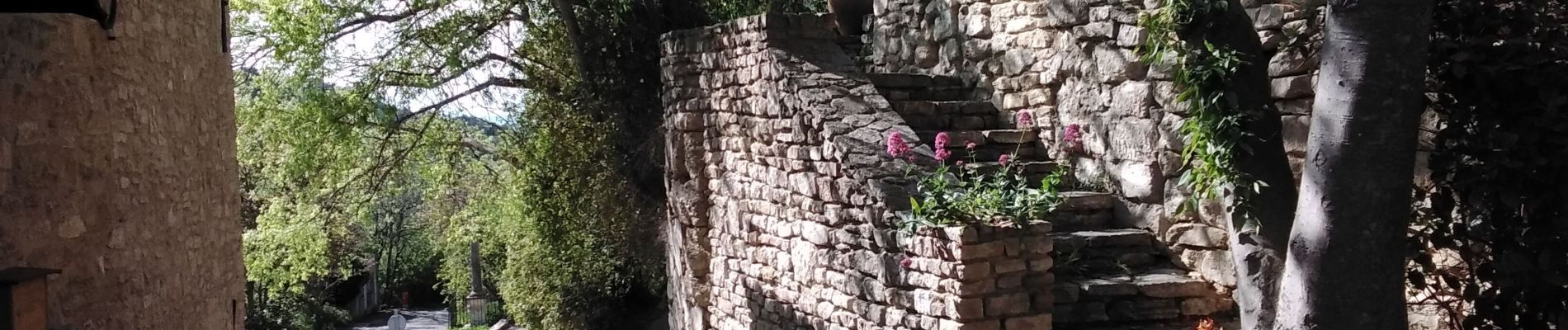 Randonnée Marche La Roque-sur-Pernes - autour de la Roque sur Pernes 84 - Photo