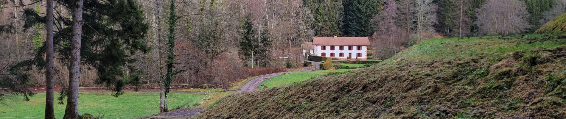 Randonnée Marche Vieux-Moulin - Balade autour de Vieux-Moulin par le Moulin de la Rochère - Photo