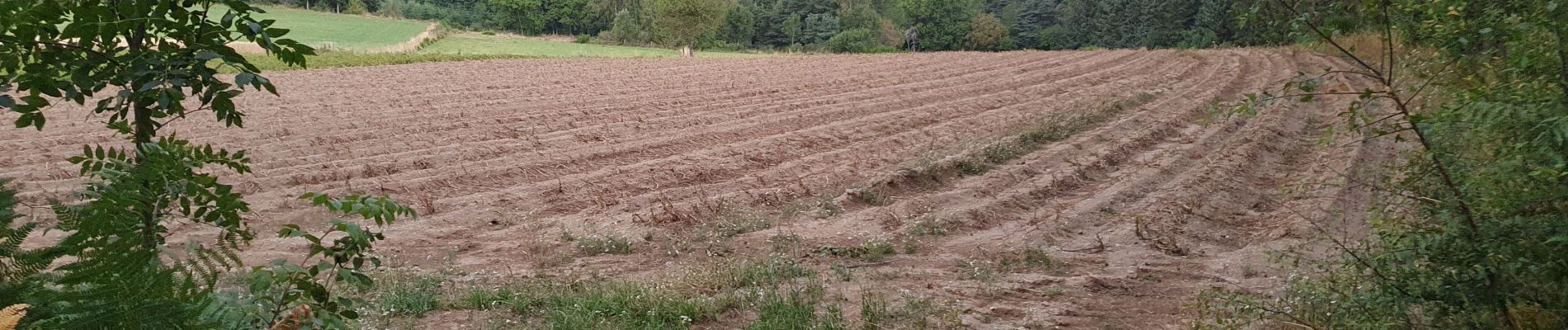 Percorso Marcia Jullianges - vallée de la dorette - Photo