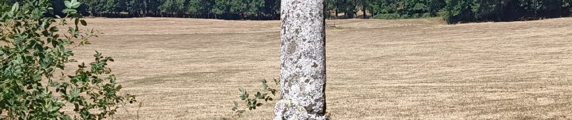 Randonnée Marche Curières - la croix du Pal - Photo