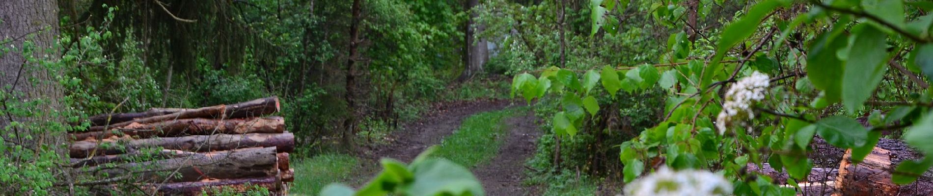 Excursión A pie Horb am Neckar - Äußerer Hauptweg - Mühlen am Neckar - Weg-6 - Mühlen am Neckar - Ahldorf - zu blauer Strich (Eyach - Mühringen) - Photo