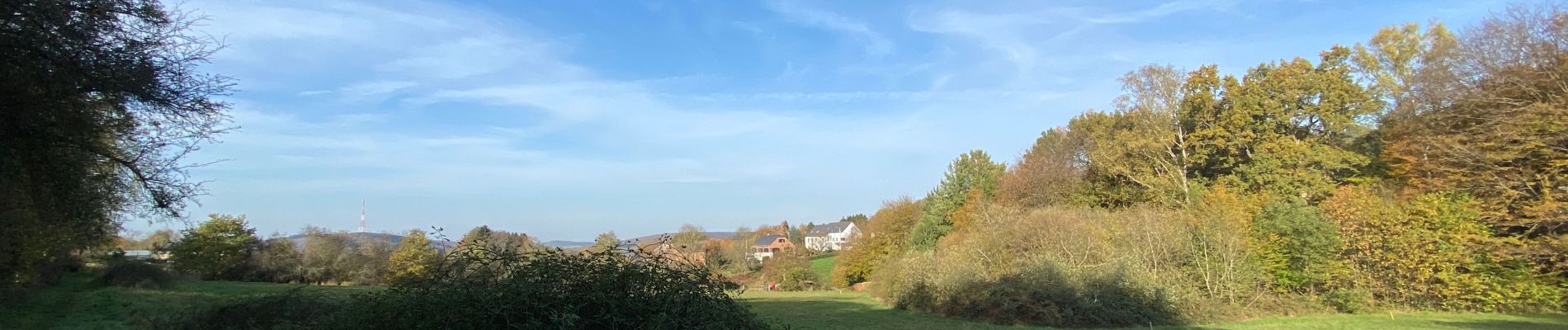 Tour Wandern Yvoir - Entre Meuse et Bocq, départ de Mont - Photo