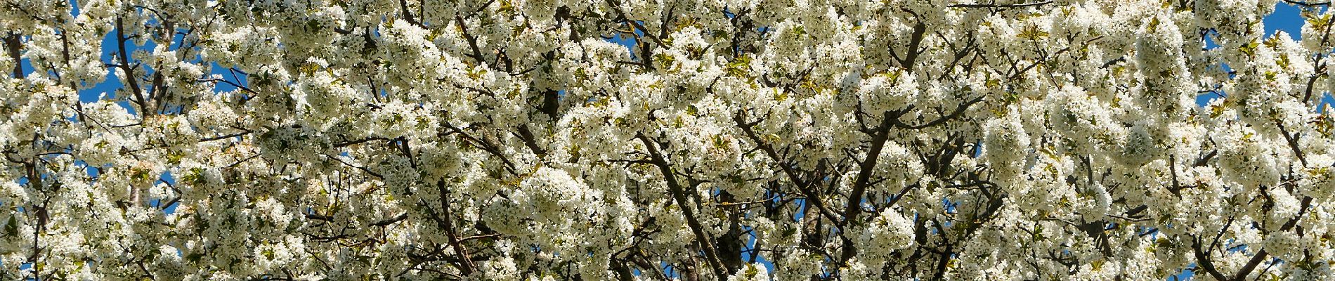 Tour Zu Fuß Unbekannt - WaldZeit - Photo