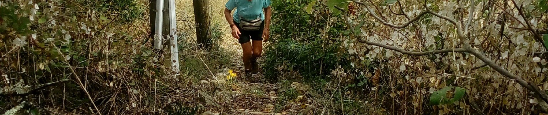 Tocht Stappen Vallon-Pont-d'Arc - la roche  Sampzon - Photo