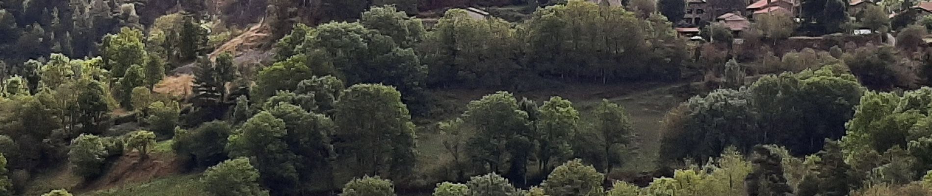 Trail Walking Arlempdes - Arlempdes Montagnac depuis Freceney - Photo