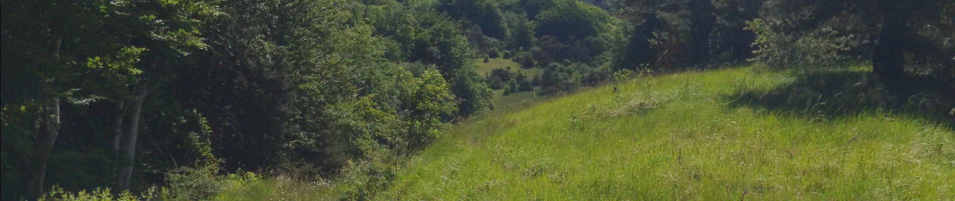 Tour Wandern Beauregard-Baret - Pas de la pierre - Photo