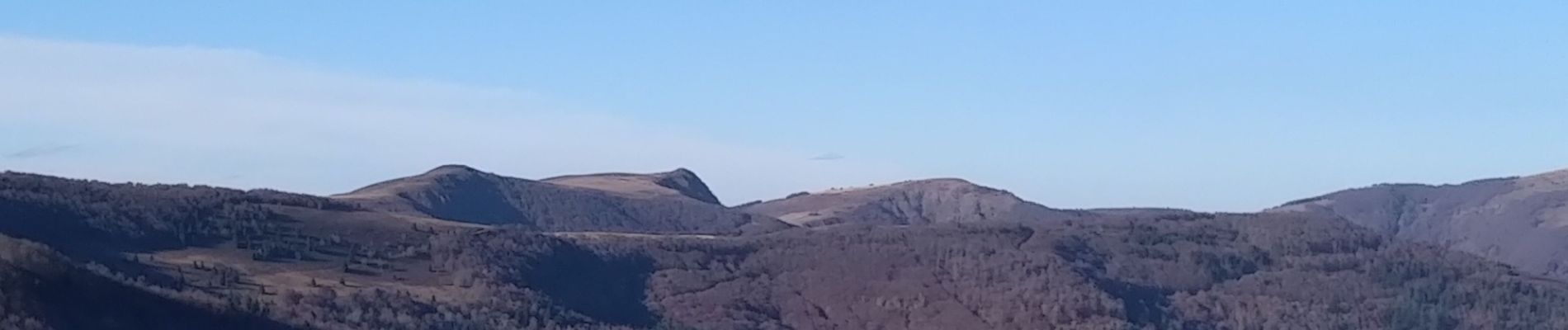 Excursión Senderismo Oderen - Entre le Hahnenbrunnen et le Nonselkopf - Photo