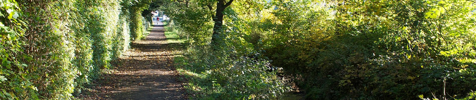 Tour Zu Fuß Pfungen - Pfungen - Embrach Unterdorf - Photo