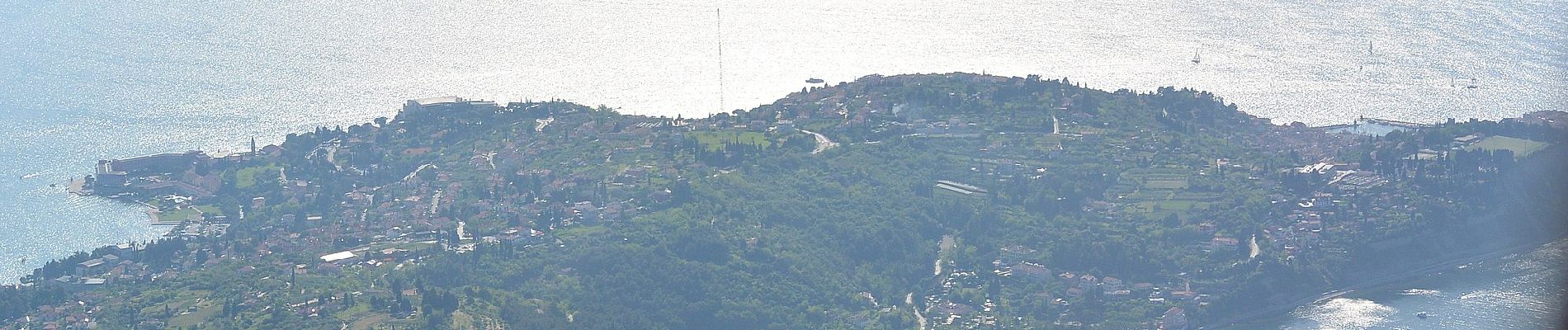 Excursión A pie Gemeinde Krumbach - Ponholz - Kühriegel - Weißes Kreuz - Photo