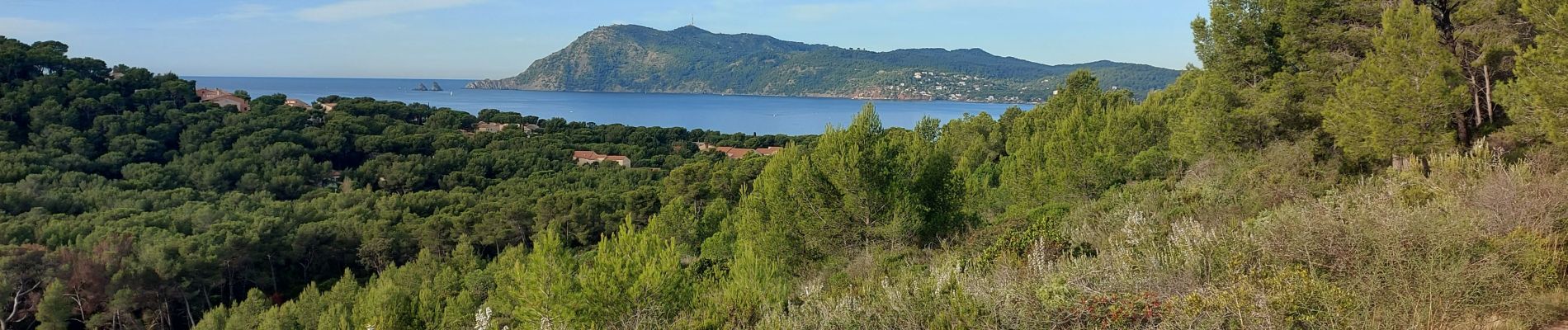 Percorso Marcia Saint-Mandrier-sur-Mer - Rando douce St Elme Ste Asile - Photo