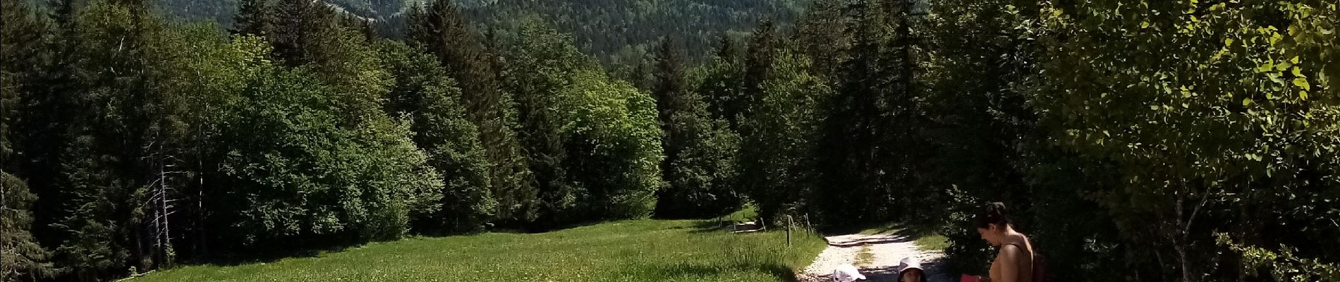 Randonnée Marche Corrençon-en-Vercors - La glacière-Corençon - Photo